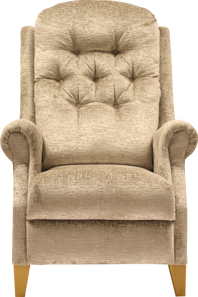 Buckholm Upholstered Arm Chair Petite