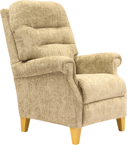Turford Upholstered Arm Chair Standard